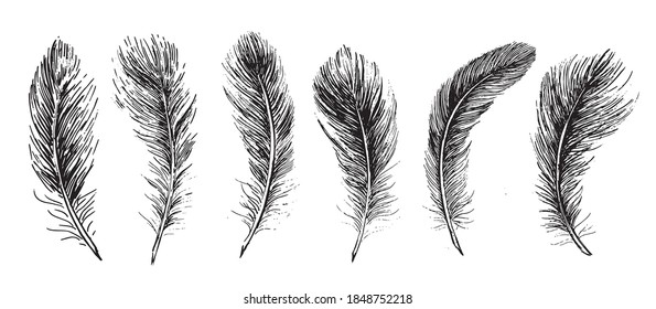 Tribal Theme Background Hand Drawn Feathers Stock Vector (Royalty Free ...