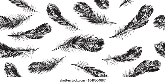 Feathers set on white background. Hand drawn sketch style.	