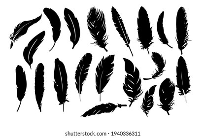 feathers, a set of sketches, different types of feathers . Black and white feathers, can be used for icons.