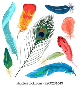 Feathers set vector illustration. Cartoon isolated colorful nature collection with beautiful bright plumage decoration of different tropical birds, plume feather from wing of exotic flying animals