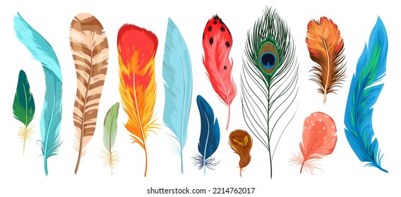 Feathers set vector illustration. Cartoon isolated bright exotic birds plume collection, curve feathers with colorful abstract patterns from wings or tail of flying wild animal, different plumages