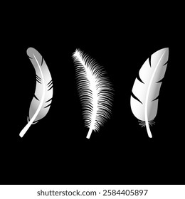 Feathers set. White feathers isolated on black background. Vector illustration