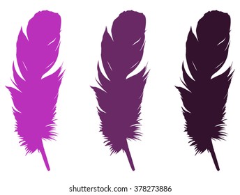 Feathers silhouette