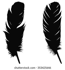 Feathers silhouette, vector illustration