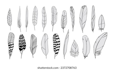 Feathers silhouettes set. Black and white realistic vector illustration.