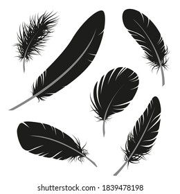 feathers silhouettes of various kinds vector isolated clipart