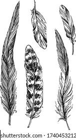 Feathers sketch. Hand drawn vector beautiful black and white illustration. Boho style.