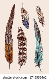 Esbozo de plumas. Ilustración hermosa del vector dibujado a mano. Estilo boho.