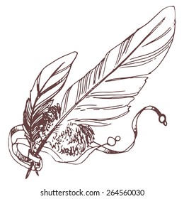 Feathers, sketch illustration, hand-drawn design elements.