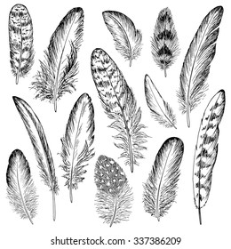 Feathers sketch set. Hand drawn vector illustration.