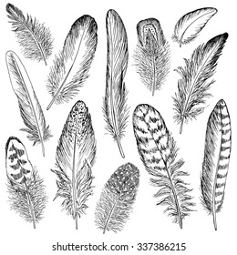 Feathers sketch set. Hand drawn vector illustration.