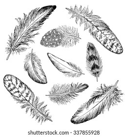 Feathers sketch set. Hand drawn vector illustration.