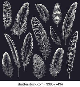 Feathers sketch set. Hand drawn vector illustration.