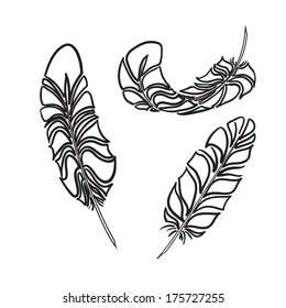 Feathers sketch style. Plumelets - doodle elements for your design .Vector illustration