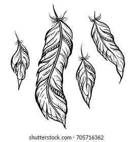 Feather Tattoos Images Stock Photos Vectors Shutterstock