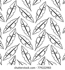 feathers tropical icon image 