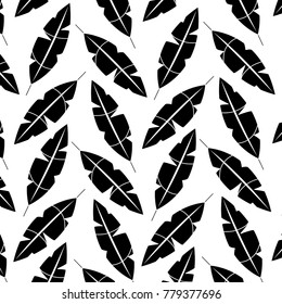 feathers tropical icon image 