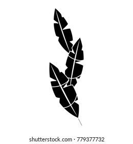 feathers tropical icon image 