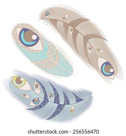 Feathers. Vector.