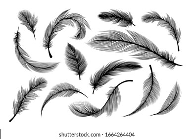 Feathers, vector black silhouettes with fluffy plumage texture. Feather quills flying and falling, abstract bird plume black on white background, isolated design elements with laser cut effect