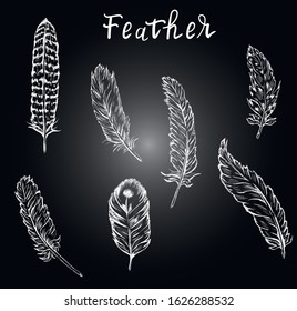 Feathers ,vector chalk isolated design elements on black background . Concept for print, logo, icon, web design