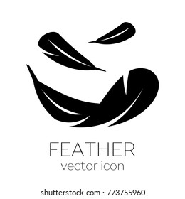Feathers vector icons in a flat style. Simple icons feathers as elements for design