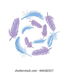 feathers - vector, illustration