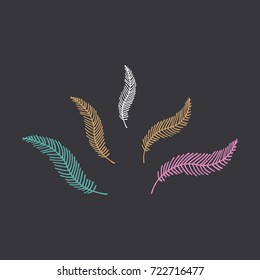 Feathers, vector illustration.