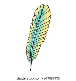 Feathers vector illustration on a white background. Doodle style. Design icon, print, logo, poster, symbol, decor, textile, paper, card. 
