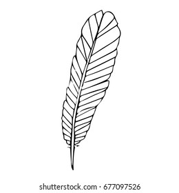 Feathers vector illustration on a white background. Doodle style. Design icon, print, logo, poster, symbol, decor, textile, paper, card. 