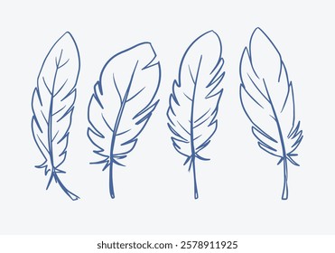 feathers, vector illustration set, hand drawn, sketch style