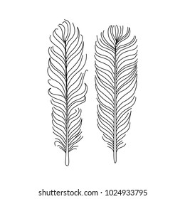 Feathers vector isolated