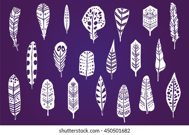 feathers vector set