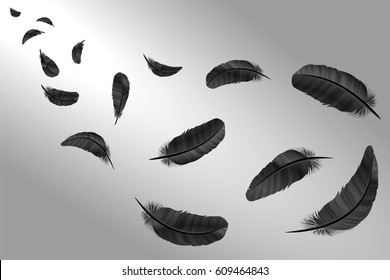 Feathers vector set in a 3d realistic detailed style. Icons feathers isolated on a light background. Collection silhouettes dark feathers. Simple icons elements for design. illustration crow bird