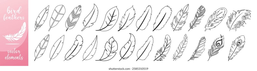 Feathers vector set in a flat style isolated on transparent background. Feathers for pen detailed isolated vector elegant silhouette sketch bird plume set