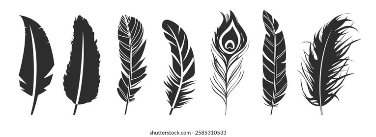 Feathers vector set in a flat style isolated on transparent background. Feathers for pen detailed isolated vector elegant silhouette sketch bird plume set