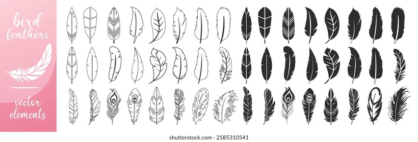 Feathers vector set in a flat style isolated on transparent background. Feathers for pen detailed isolated vector elegant silhouette sketch bird plume set