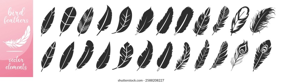 Feathers vector set in a flat style isolated on transparent background. Feathers for pen detailed isolated vector elegant silhouette sketch bird plume set