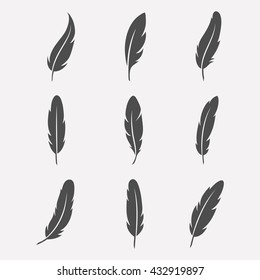 Feathers Vector Art & Graphics