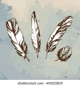 Feathers vector set on the grunge background.