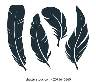 Feathers vector silhouette set in flat style. Feathers icons isolated on white background. 