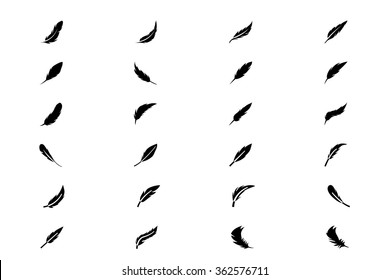 Feathers Vector Solid Icons 3