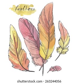 Feathers, watercolor illustration on a white background.