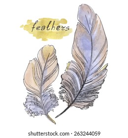 Feathers, watercolor illustration on a white background.