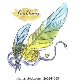 Feathers, watercolor illustration on a white background.