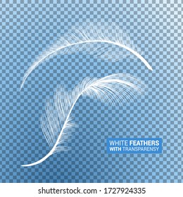 Las plumas, las plumas blancas esponjosas aisladas caen plumas con efecto transparente sobre el fondo azul transparente. Tejidos de plumas de plumas de ganso realistas con plumaje de plumas, volando y cayendo