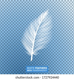 Feathers, white fluffy isolated falling plume with transparent effect on blue background. Realistic 3D goose bird feather quill with fluff plumage texture, flying and falling design