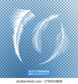 Feathers, white fluffy isolated falling plumes with transparent effect on blue background. Realistic 3D goose bird feathers quills with fluff plumage texture, flying and falling abstract shapes design