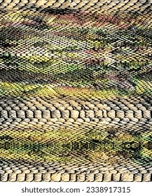 a feature pattern suitable for a colorful textile made of snake skin