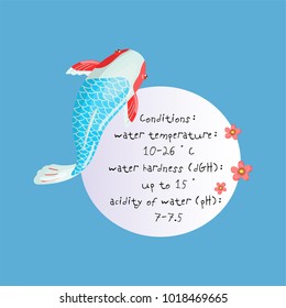 Features of Asagi Carp Koi, traditional sacred Japanese fish, element for creating your own infographic design with handwritten text, vector Illustration